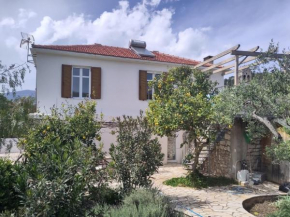 Metropolis Villa
